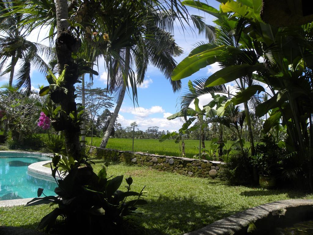 Saudara Home Ubud Esterno foto