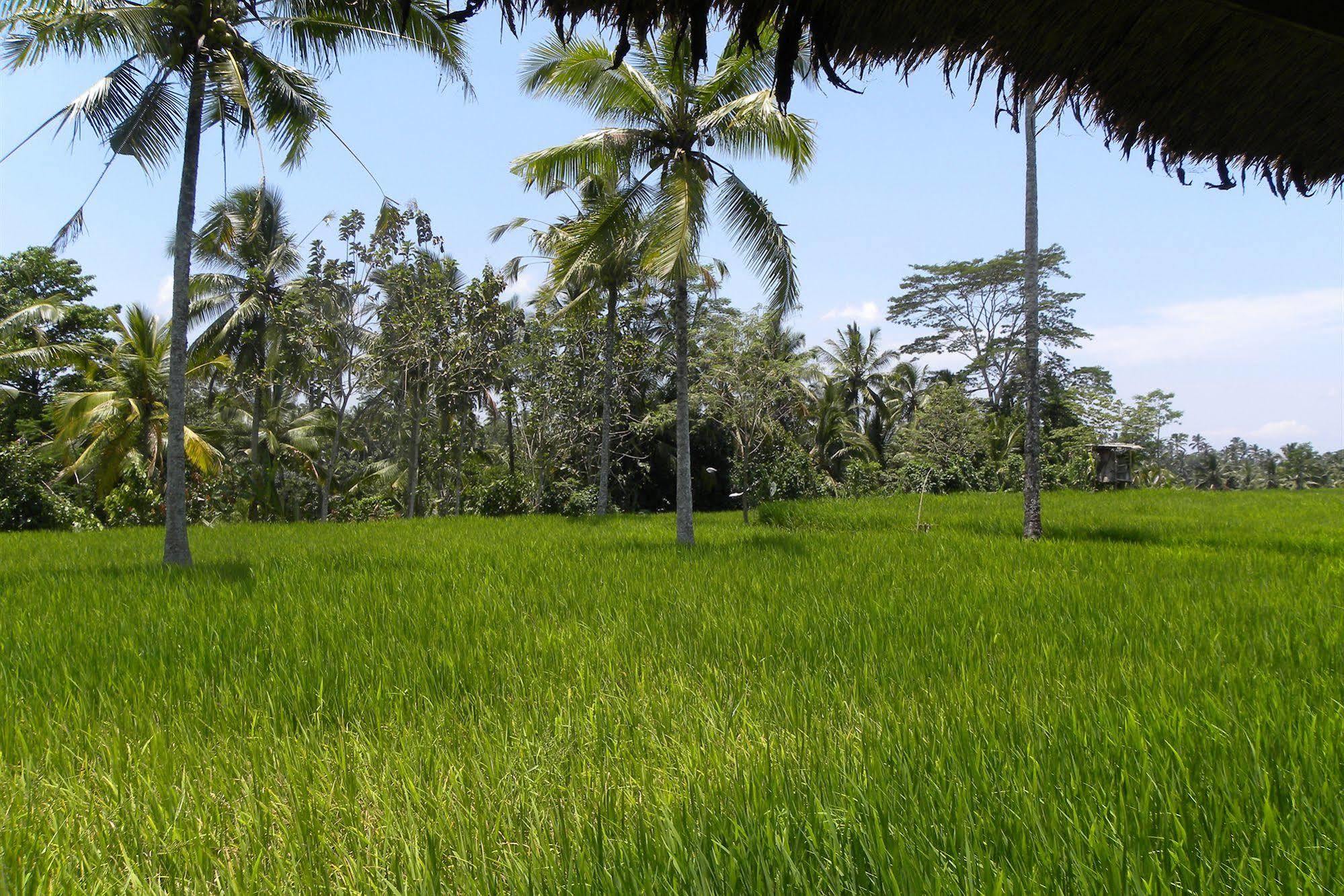Saudara Home Ubud Esterno foto