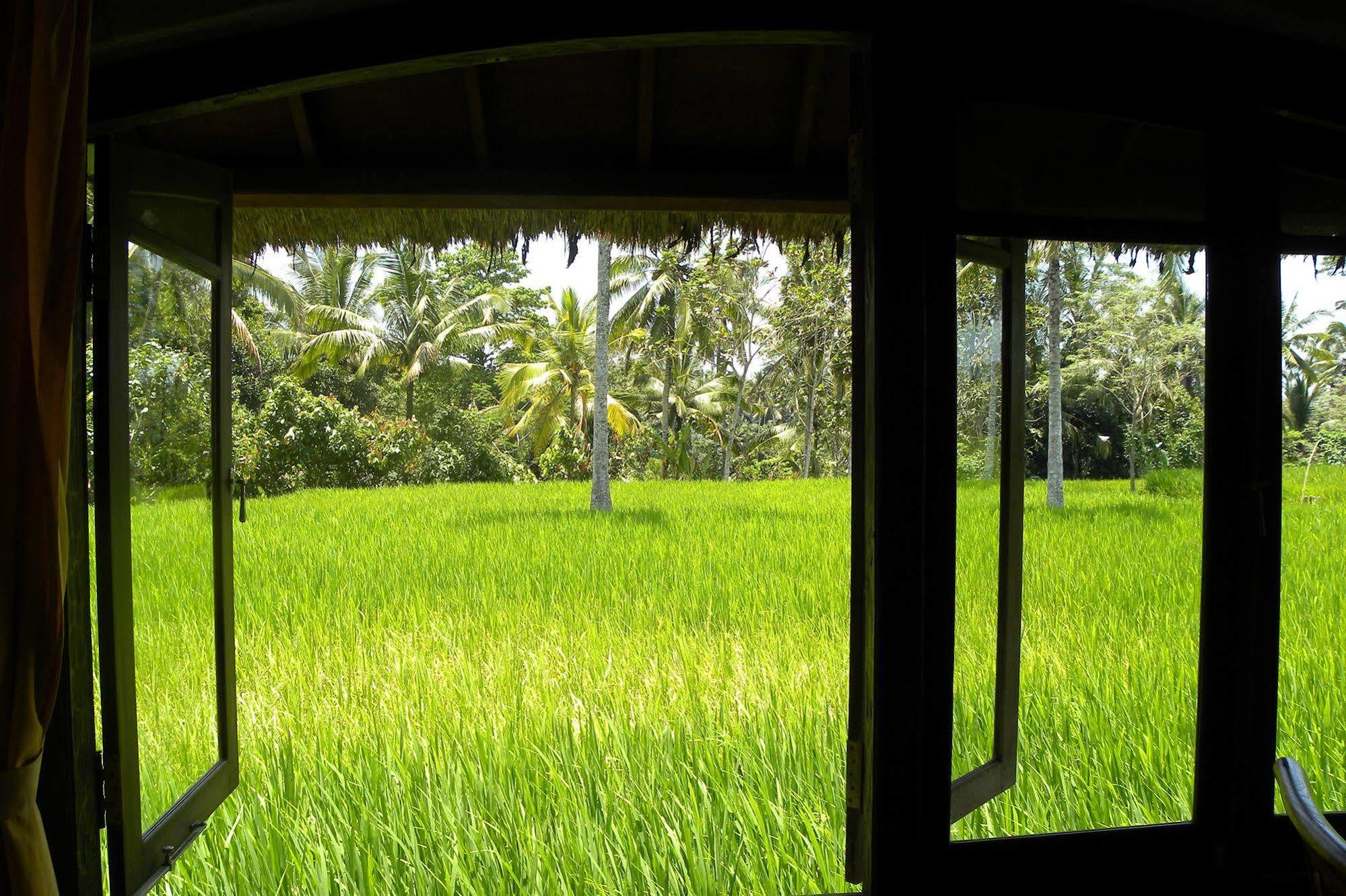 Saudara Home Ubud Esterno foto